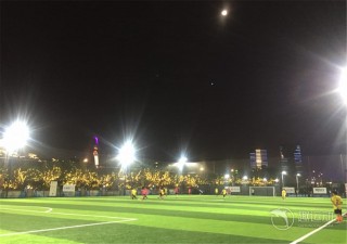 关于足球之夜专业足球场的信息