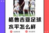 格鲁吉亚足球排名(格鲁吉亚足球水平怎么样)
