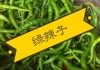 360足球绿色直播(360绿色足球体育直播)