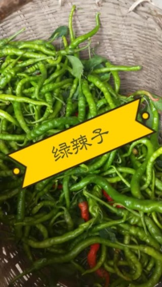 360足球绿色直播(360绿色足球体育直播)