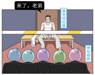踢足球蛋疼(踢足球伤到睾丸会有什么影响)