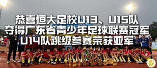 足球比赛原声字幕下载(足球比赛原声字幕下载安装)