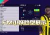 足球经理2014妖人(足球经理2014妖人开档必签)