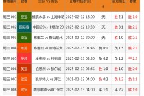 足球大赢即时比分(足球大赢家即时比分310)