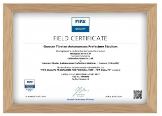 足球fifa认证(足球fifa认证等级)