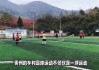 足球盛况(足球盛况2)