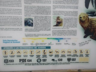 足球isl(足球isf什么意思)