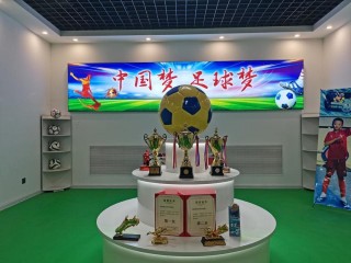 潍坊少儿足球(潍坊足球学校地址)