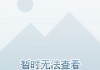 关于兰格国际足球小镇规划的信息