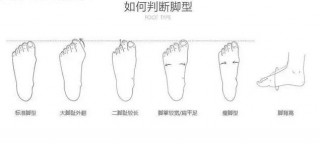 如何选足球(如何选足球号码)