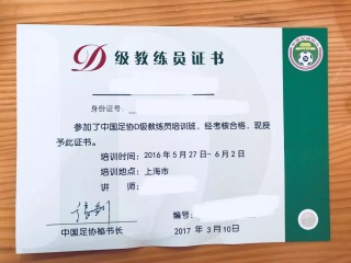 云南足球 *** (云南足球职业队)