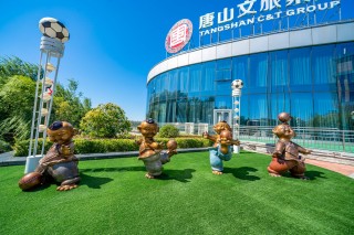 足球主题客房(足球主题客房图片)