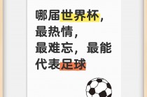 足球有什么杯(足球什么杯含金量更高)