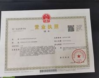 足球俱乐部营业执照(足球俱乐部营业执照怎么办理)