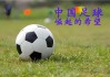 中国少年足球寄望(中国少年足球队员名单)