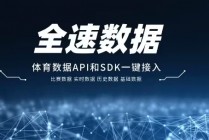 足球数据api(足球数据app可以看跑动距离)