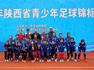 陕西的职业足球俱乐部(陕西的职业足球俱乐部有哪些)