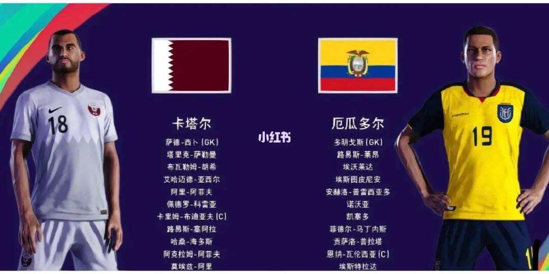 卡塔尔vs捷克比分(卡塔尔vs捷克比分预测)  第1张