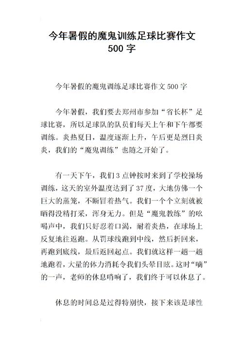 足球比赛小学作文(足球比赛小学生作文)  第2张