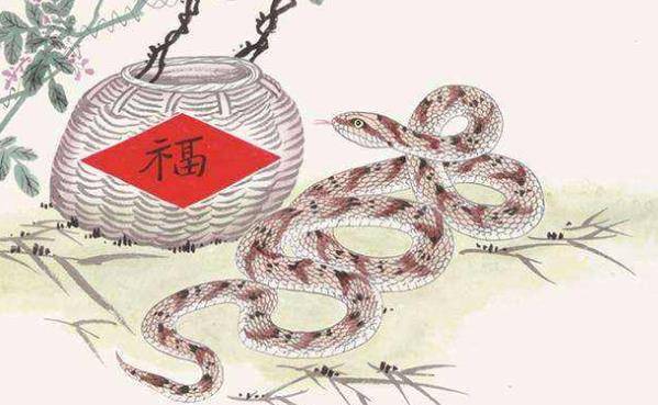 喜鹊vs蛇(喜鹊与蛇打斗的视频)  第2张