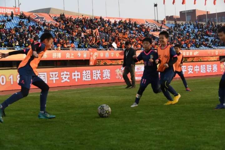 北京市足球运动(北京市足球运动协会高俊简介图片)  第2张