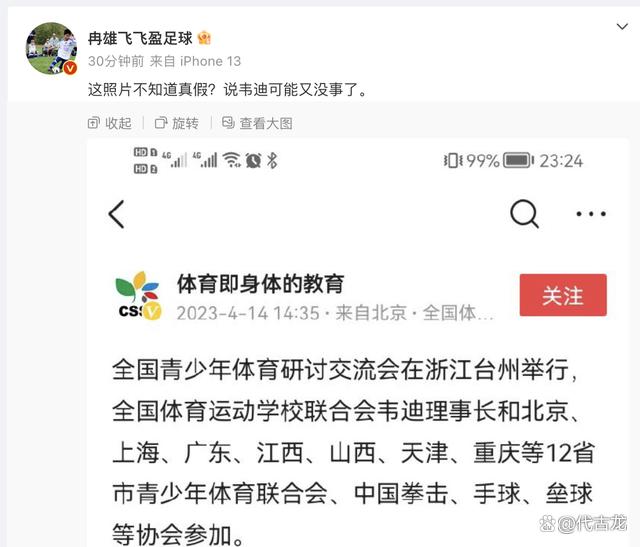 韦迪足球(韦德效力球队)  第1张