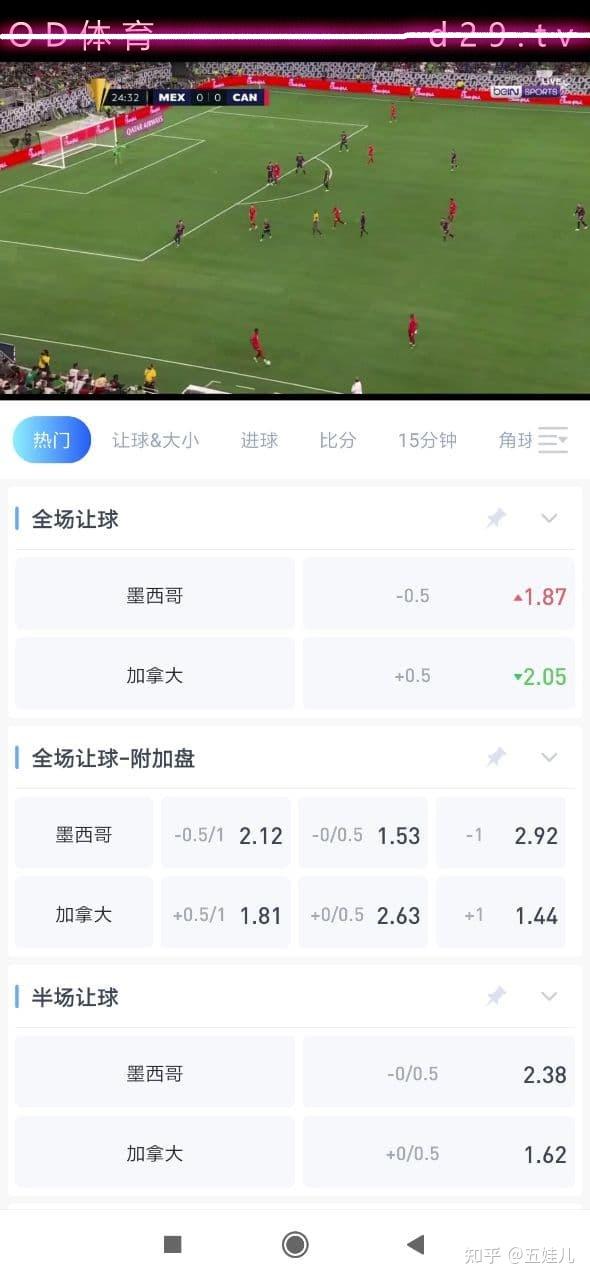 怎样在手机看足球直播(怎么在手机上看足球直播软件)  第1张