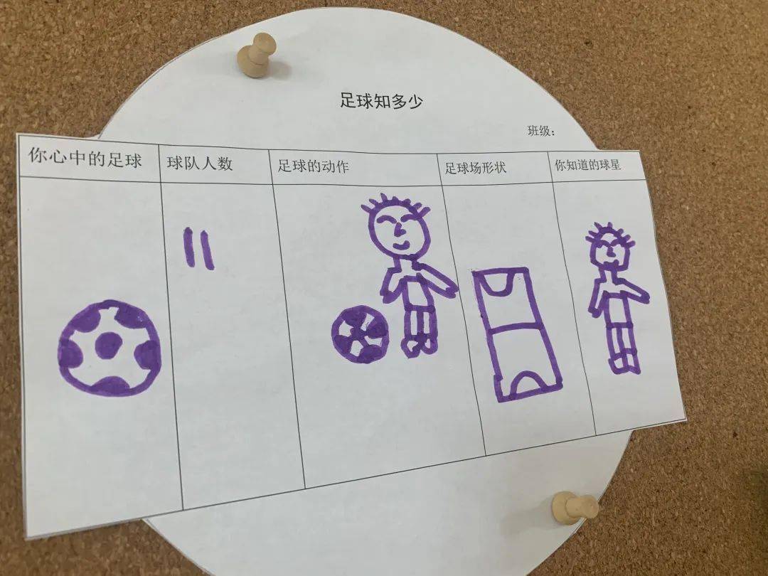 足球问卷(足球问卷调查表幼儿)  第2张