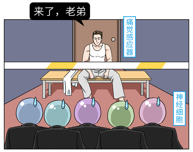 踢足球蛋疼(踢足球伤到睾丸会有什么影响)  第1张
