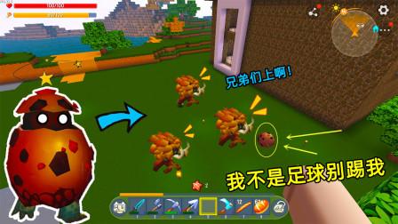 足球爆蛋(足球爆种是什么意思)  第2张