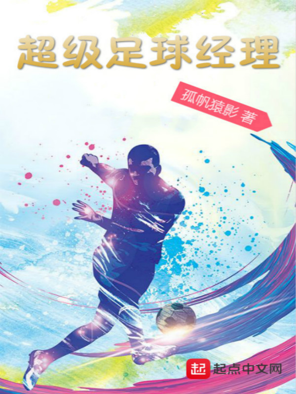 2015足球小说(2020年足球小说排行榜)  第2张