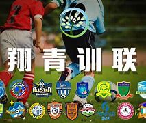 祝翔足球(足球教练祝奇)  第2张