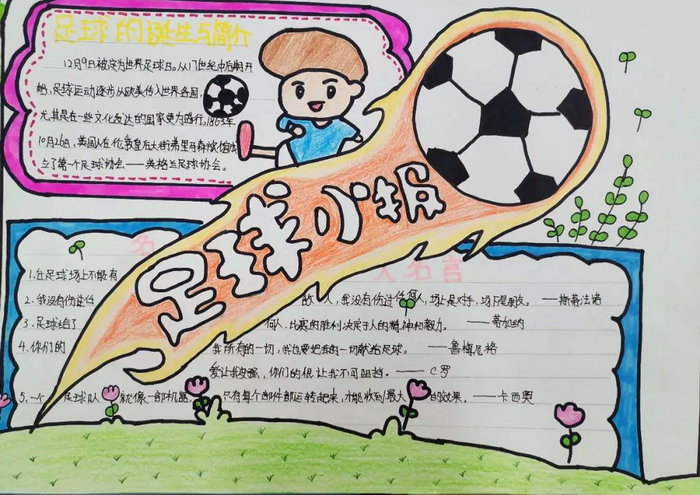 足球小知识20字(足球知识50字左右)  第1张
