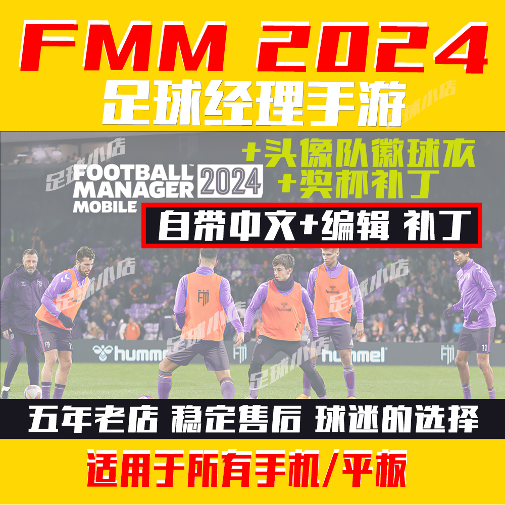 足球经理2012队徽(足球经理队徽补丁包多大)  第2张