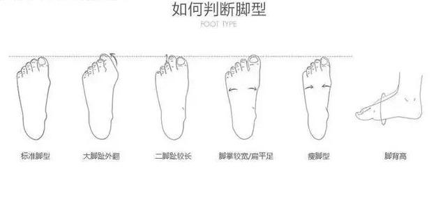 如何选足球(如何选足球号码)  第2张