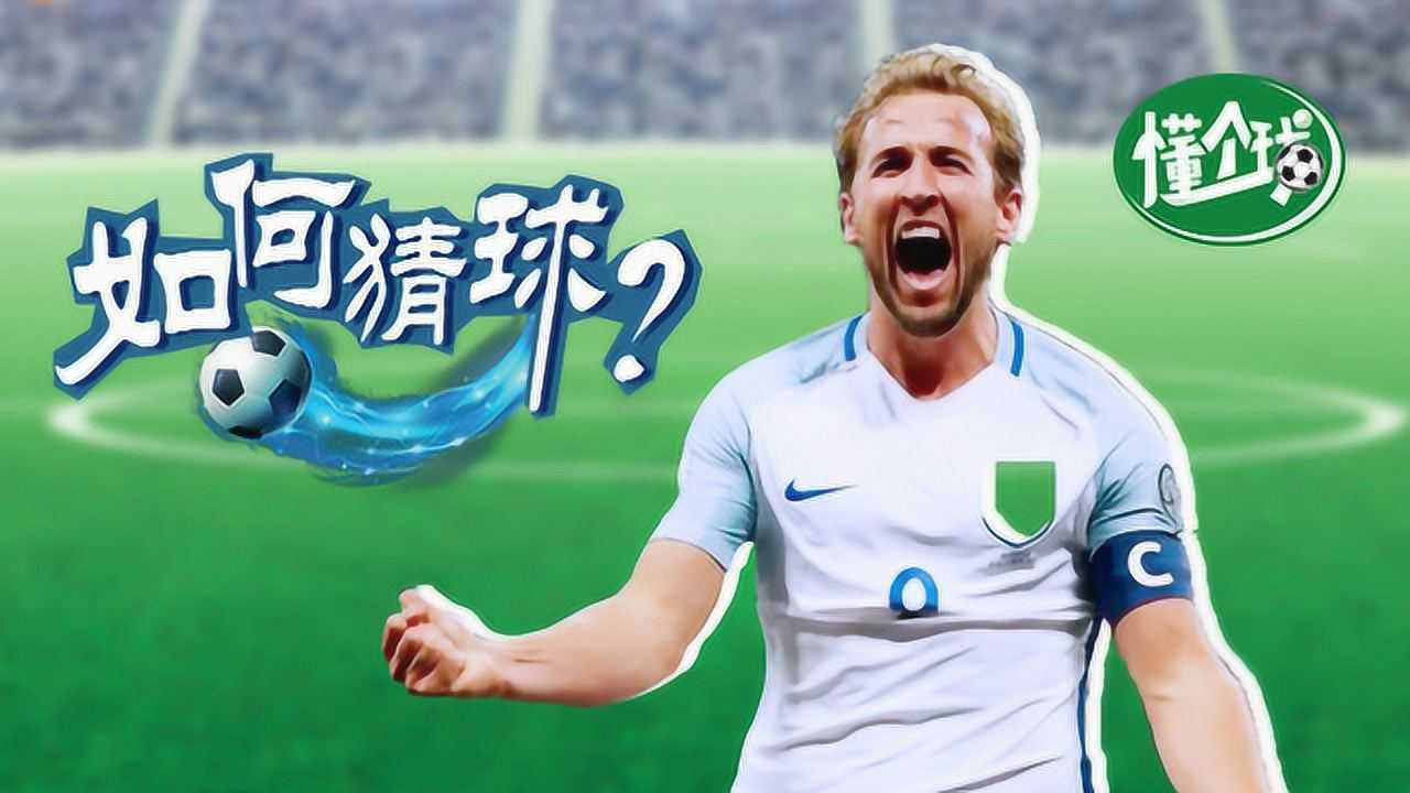 足球球德(德甲比赛用球)  第1张