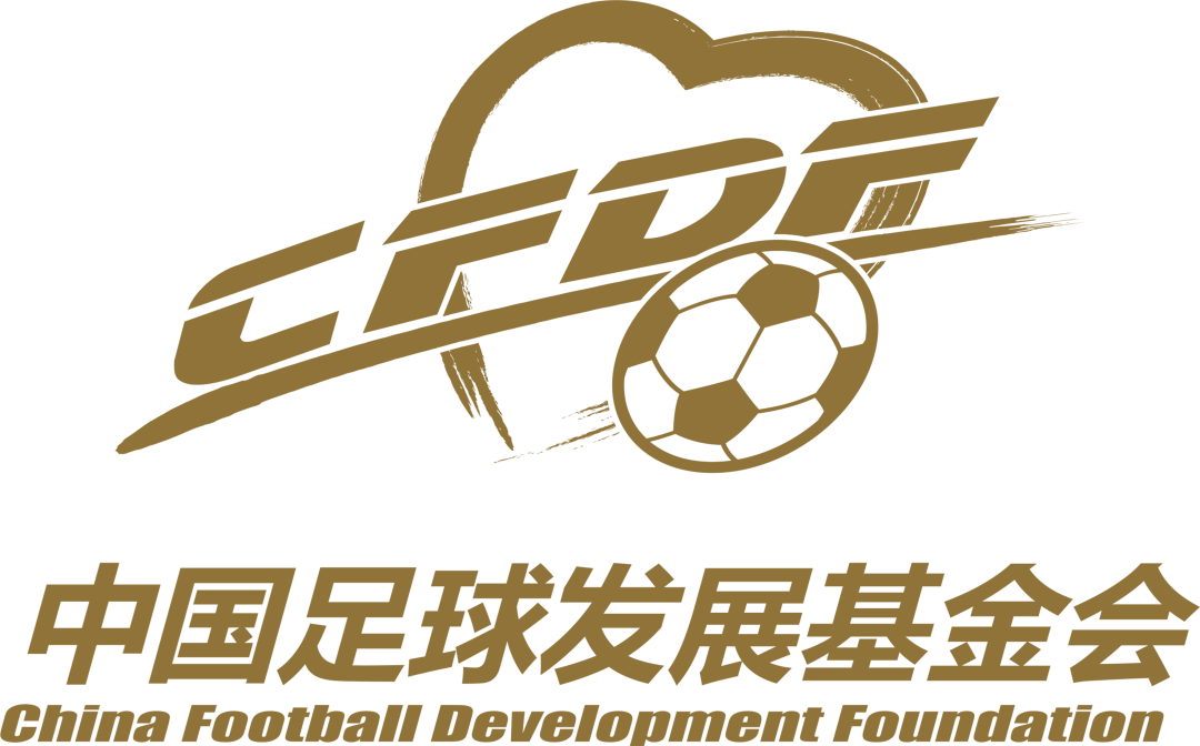 足球第二大联赛(足球联赛第二名有奖牌吗)  第2张