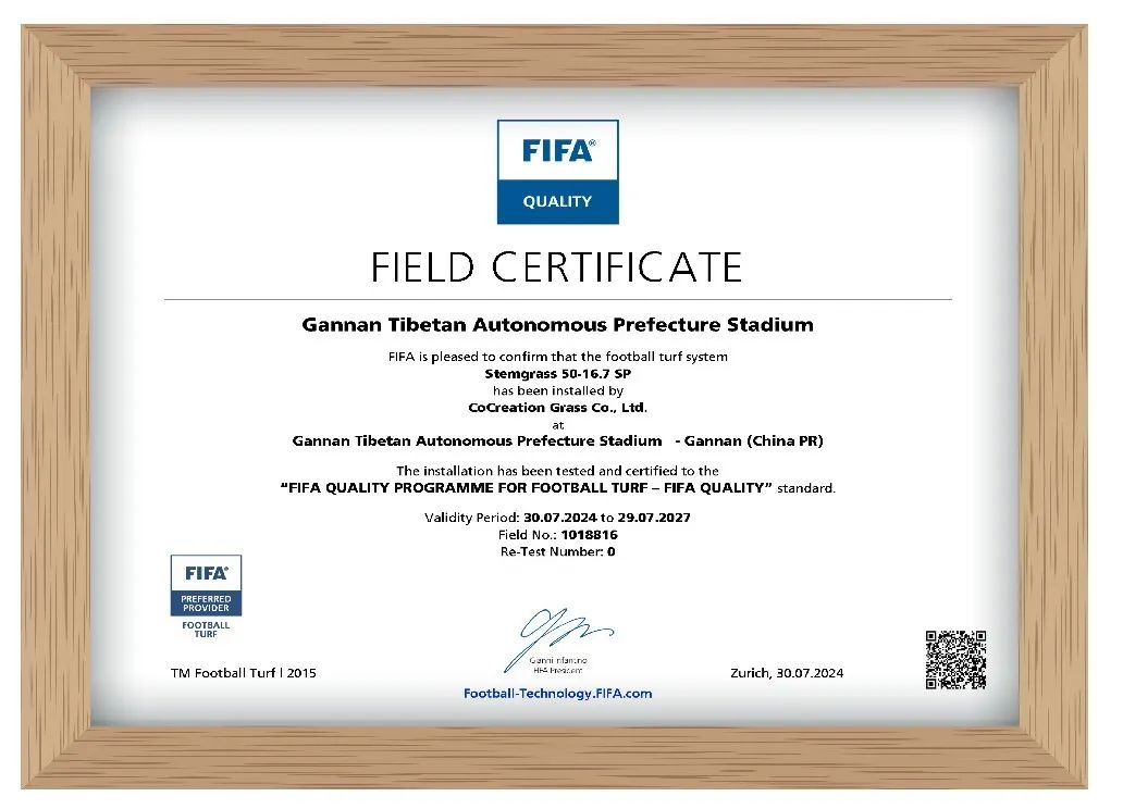 足球fifa认证(足球fifa认证等级)  第1张