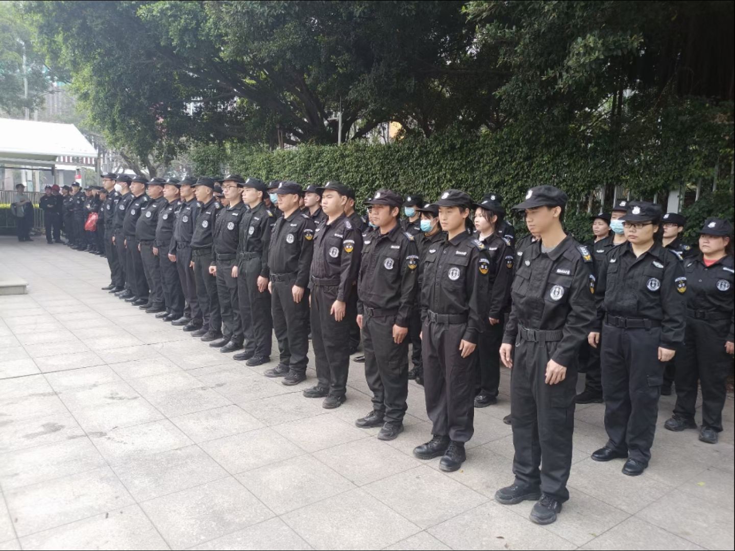足球场保安(足球场保安跳舞视频)  第1张