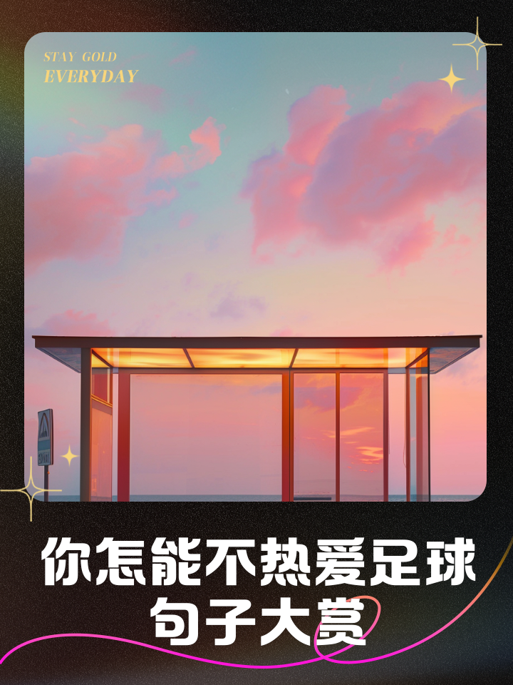 只爱足球(爱足球爱生活)  第1张