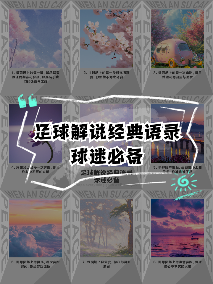 足球解说董(足球解说董路)  第2张