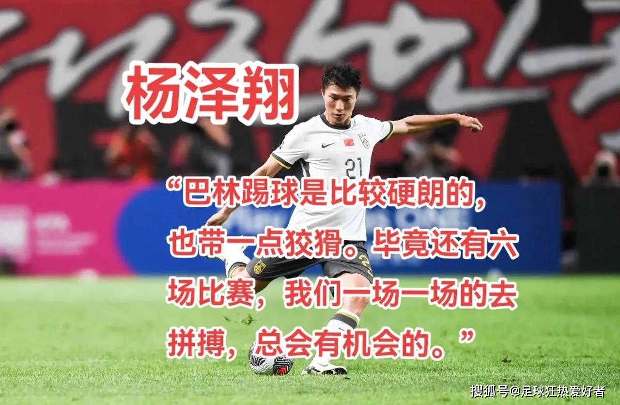 杨林林足球(足球解说员杨林)  第1张