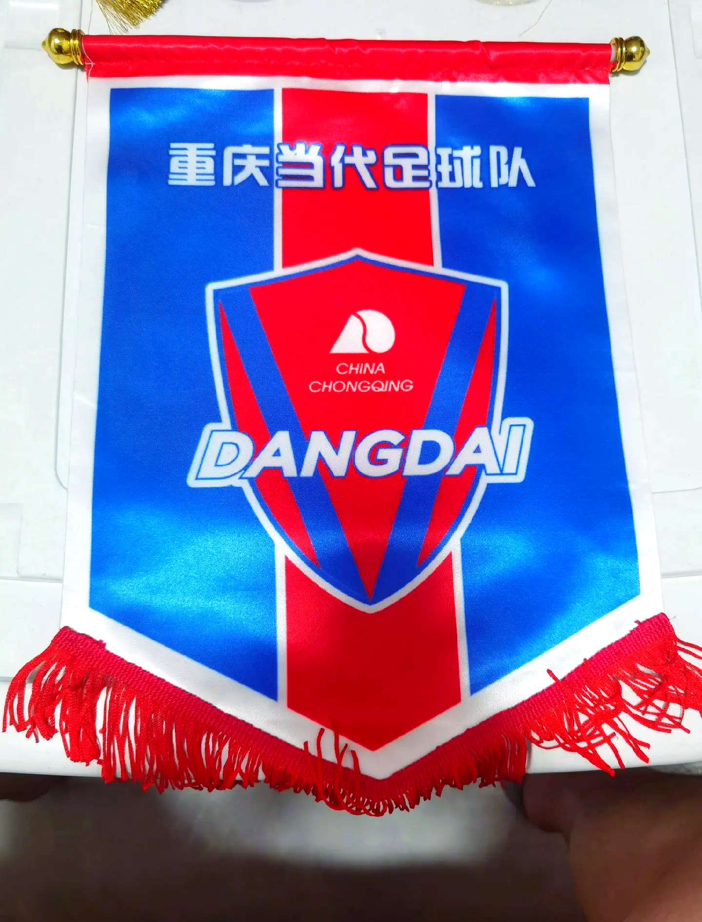 重庆足球队叫什么名字(重庆足球队叫什么名字好听)  第1张