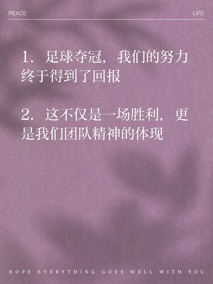 欢呼吧足球(欢呼吧足球预测)  第1张