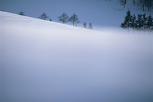 足球雪原网(雪园足球直播)  第1张